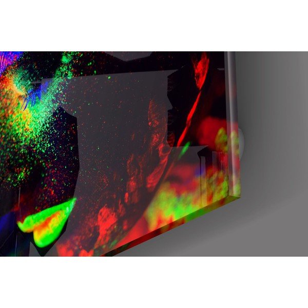 Steklena slika Insigne Neon-image-2
