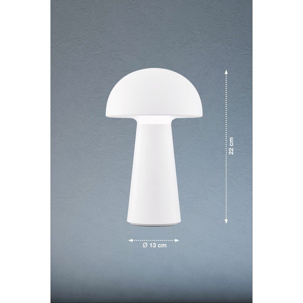 Bela LED zatemnitvena namizna svetilka s senzorjem gibanja (višina 22 cm) Viga – Fischer & Honsel-image-2