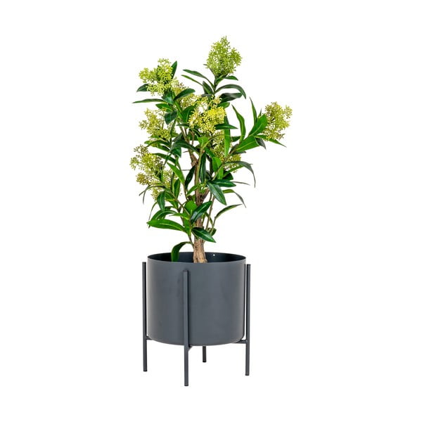 Umetna rastlina Skimmia – House Nordic-image-1