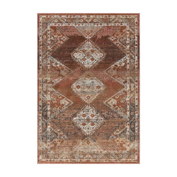 Rdeče-rjava preproga 170x120 cm Zola - Asiatic Carpets