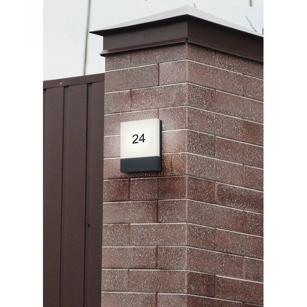 LED stenska zunanja svetilka (višina 20 cm) Pecos – Trio-image-2