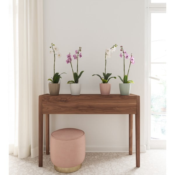 Keramičen cvetlični lonec ø 14 cm Thalia – Artevasi-image-3