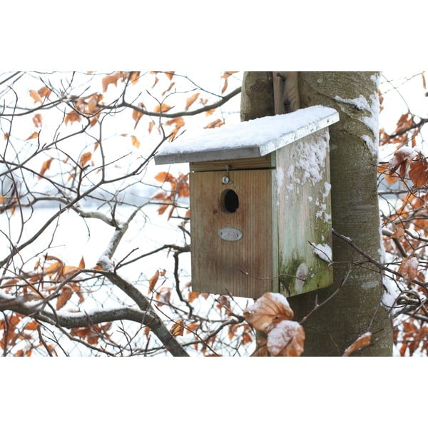 Lesena ptičja hišica – Esschert Design-image-3