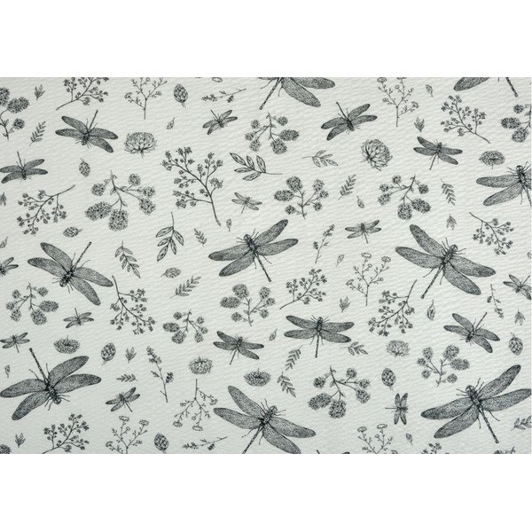 Belo-siva posteljnina mečkanka za zakonsko posteljo 200x200 cm Dragonfly -image-1