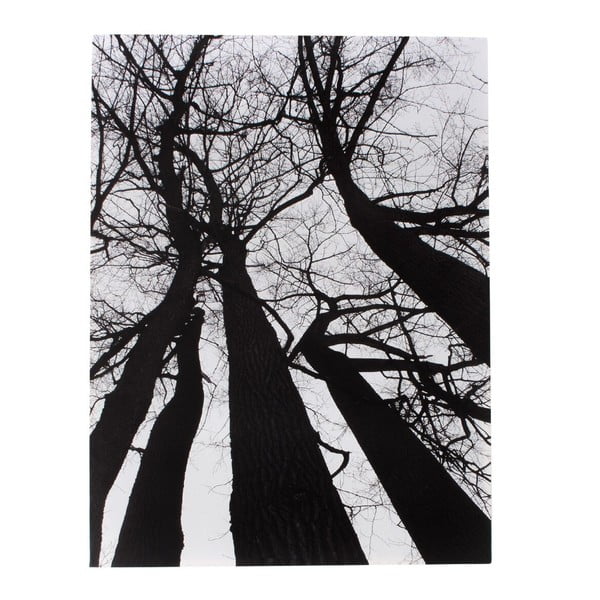 Slika na platnu Tomasucci Zimsko drevo