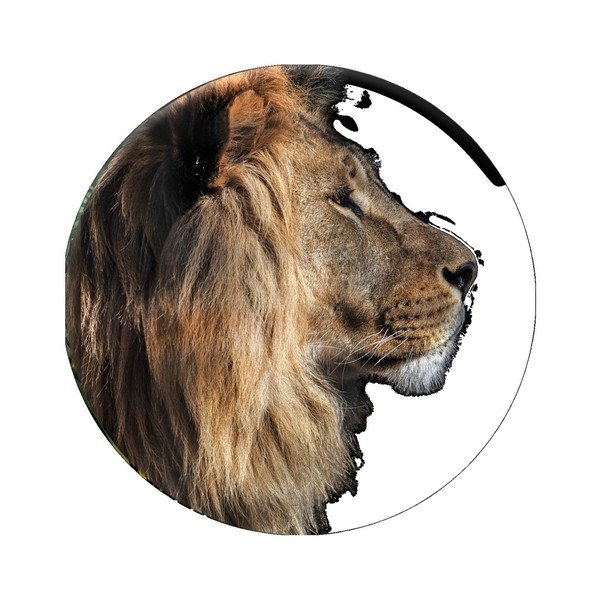 Stenska dekoracija Styler Ring Lion, ø 70 cm