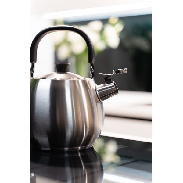 Srebren čajnik iz nerjavečega jekla Vialli Design Bolla, 2,5 l-image-4