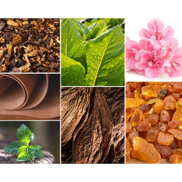 Dišeča sveča iz sojinega voska čas gorenja 60 h Tobacco&Leather/Oud&Bergamote – Privé Home-image-3