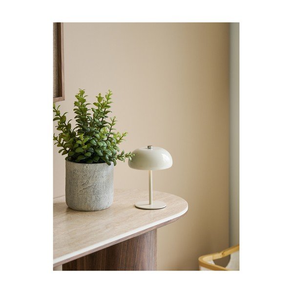 Umetna rastlina (višina 33,5 cm) Succulent – House Nordic-image-1