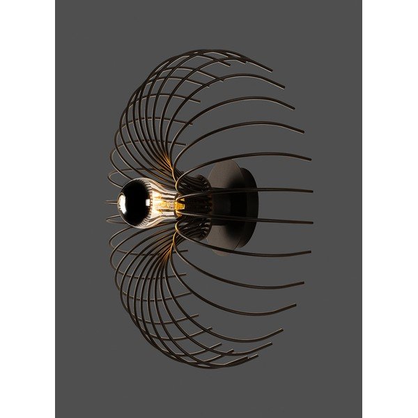 Črna stenska svetilka Opilio – Squid Lighting-image-3