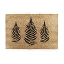 Predpražnik iz kokosovih vlaken 40x60 cm Fern Leaf – Artsy Doormats