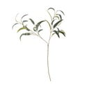 Umetni evkaliptus (višina 101 cm) – Bloomingville