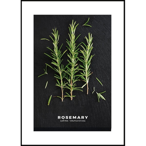 Plakat v okvirju 50x70 cm Rosemary - Styler