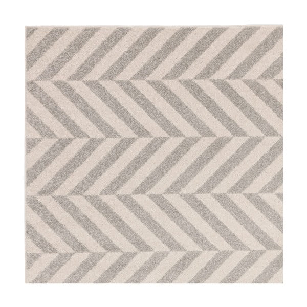 Svetlo siva preproga 120x170 cm Muse – Asiatic Carpets-image-2