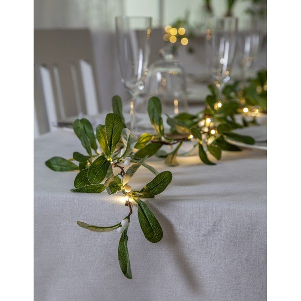 Zelena svetlobna dekoracija Mistel – Star Trading-image-1