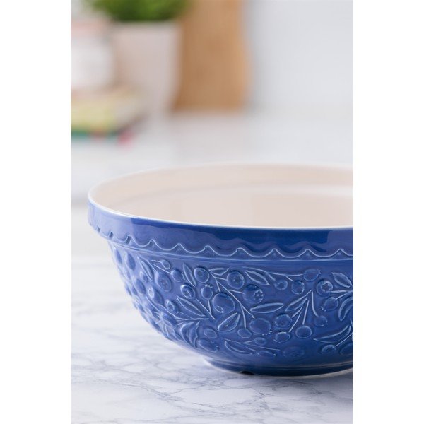 Modra skleda iz kamenine ø 26 cm Fruits Blueberry – Mason Cash-image-4