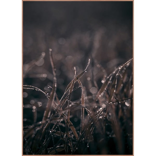 Slika 50x70 cm Mellow Grasses 5 – Malerifabrikken