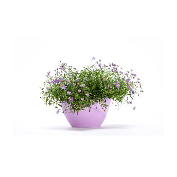 Pastelno vijoličen samozalivalni cvetlični lonček za ograje Plastia Doppio-image-2