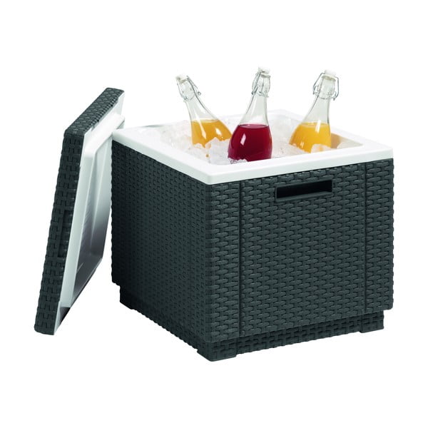 Vrtna miza s prostorom za led 42x42 cm – Keter-image-2