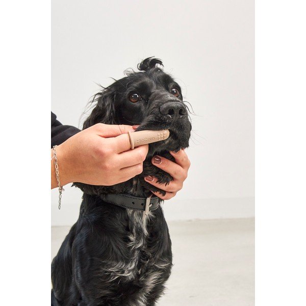 Zobne ščetke za hišne ljubljenčke v kompletu Dito – MiaCara-image-3