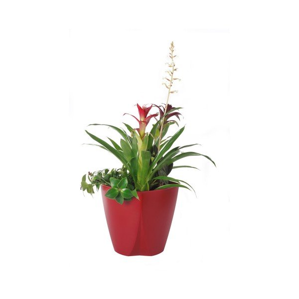 Rdeč lonec Plastia Camay, ø 18,5 cm-image-1