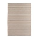 Bež notranja in zunanja preproga 200x290 cm Desert 1303 – Ayyildiz Carpets