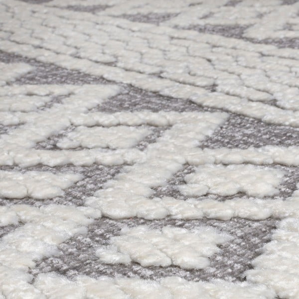 Siva pralna preproga 218x160 cm Jhansi - Flair Rugs-image-4