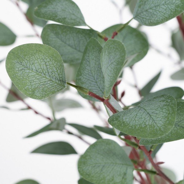 Umetni evkaliptus (višina 180 cm) Eucalyptus – Ixia-image-1