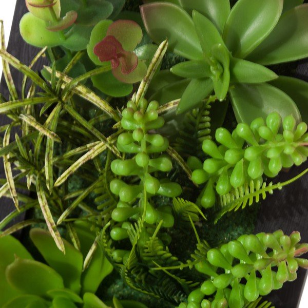 Komplet 2 visečih okraskov v obliki rastočega kaktusa Unimasa-image-3