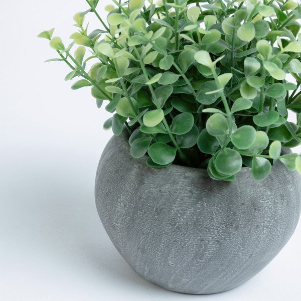 Umeten evkaliptus v lončku Kave Home-image-1