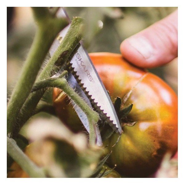 Škarje za rezanje zelišč in zelenjave Fiskars Solid Veggie-image-2
