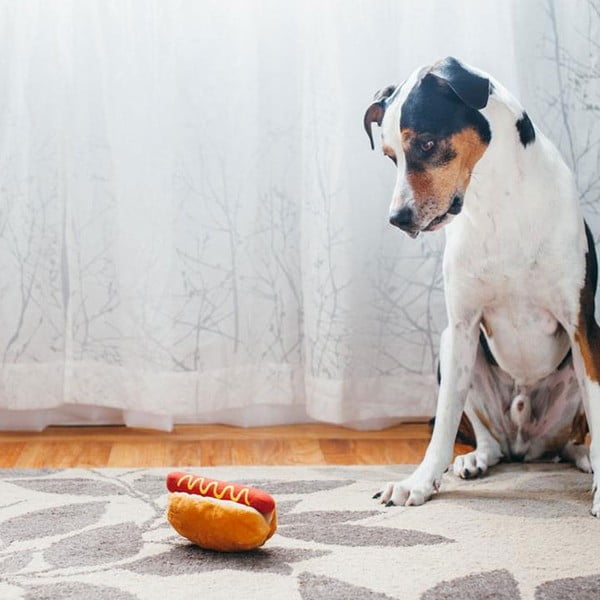 Igrača za pse Hot Dog - P.L.A.Y.-image-1