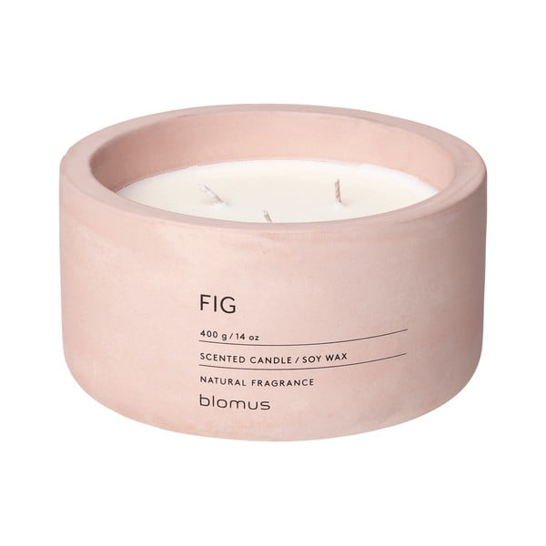 Dišeča sveča iz sojinega voska čas gorenja 25 h Fraga: Fig – Blomus