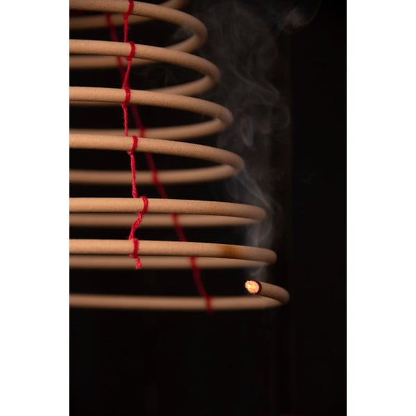 Viseči odganjalec komarjev Esschert Design-image-2