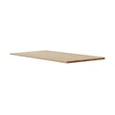 Dodatna mizna plošča iz masivnega hrasta 50x120 cm Noor – Hammel Furniture