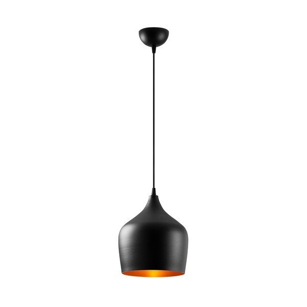 Črna viseča svetilka s kovinskim senčilom ø 22 cm Dodo – Opviq lights-image-2