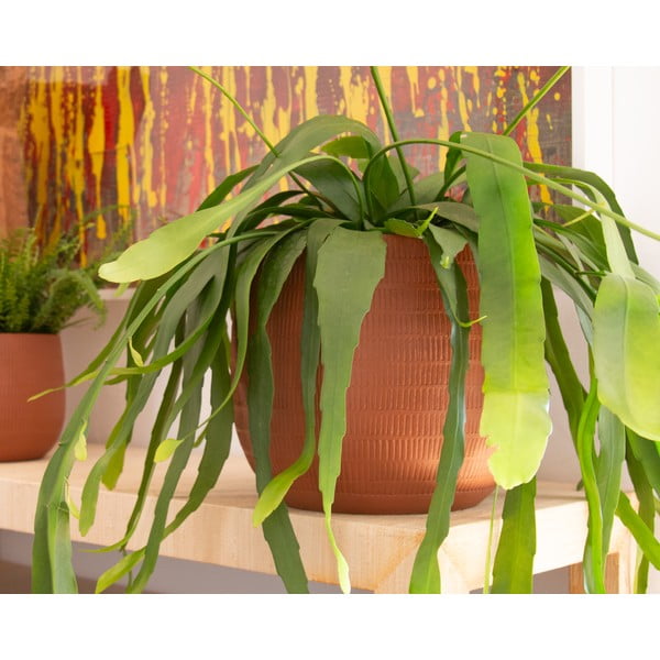 Keramičen ročno poslikan cvetlični lonec ø 16 cm Aura – Artevasi-image-1