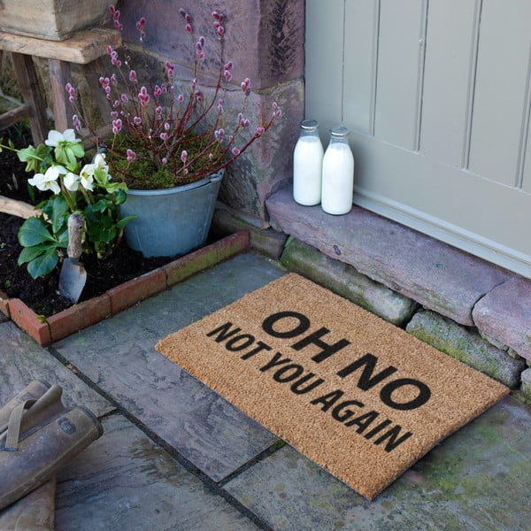 Predpražnik iz kokosovih vlaken 40x60 cm Not You Again – Artsy Doormats-image-3