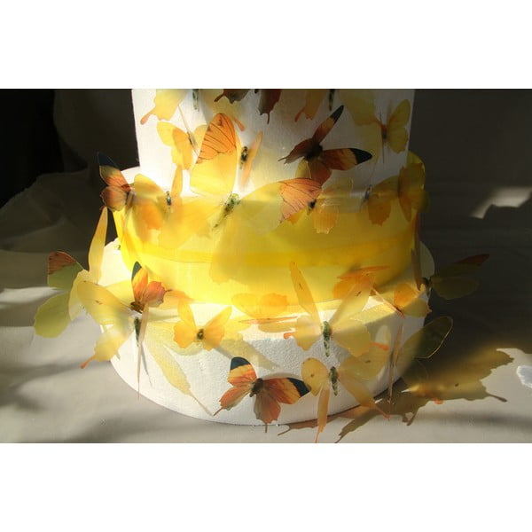 Komplet 18 3D nalepk Ambiance Butterflies Yellow-image-3