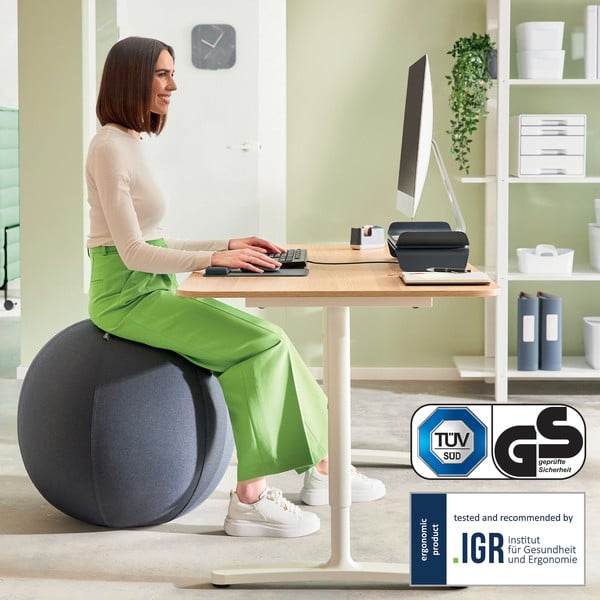Ergonomska žoga za sedenje z utežmi ø 65 cm Ergo – Leitz-image-4