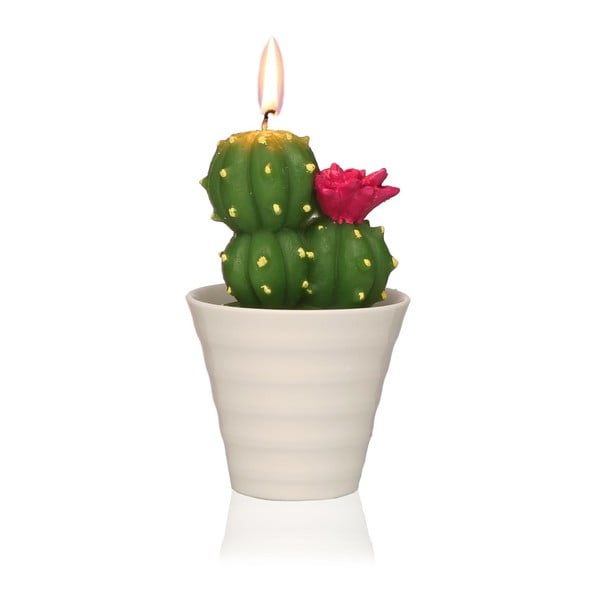 Dekorativna kaktusova sveča Versa Cactus Fila