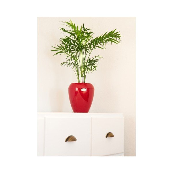 Rdeč samozalivalni lonec Plastia Calimera Camay, ø 17 cm-image-1