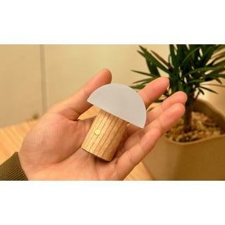 LED zatemnitvena namizna svetilka iz masivnega jesena v naravni barvi (višina 7 cm) Alice – Gingko