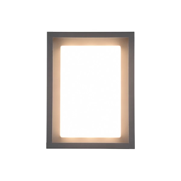 Zunanja stenska svetilka LED (višina 24 cm) Witham - Trio-image-3