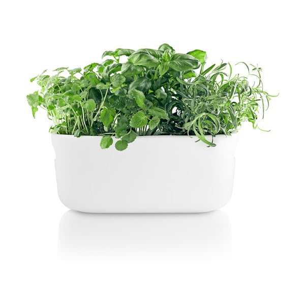 Bel samozalivalni sadilnik Eva Solo-image-4