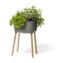 Plastičen samozalivalni cvetlični lonec Urbalive – Plastia