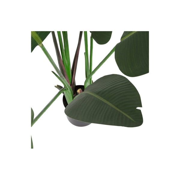 Umetna strelicija (višina 164 cm) – WOOOD-image-2