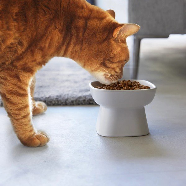 Keramična posoda za hrano za hišne ljubljenčke Tower – YAMAZAKI-image-1