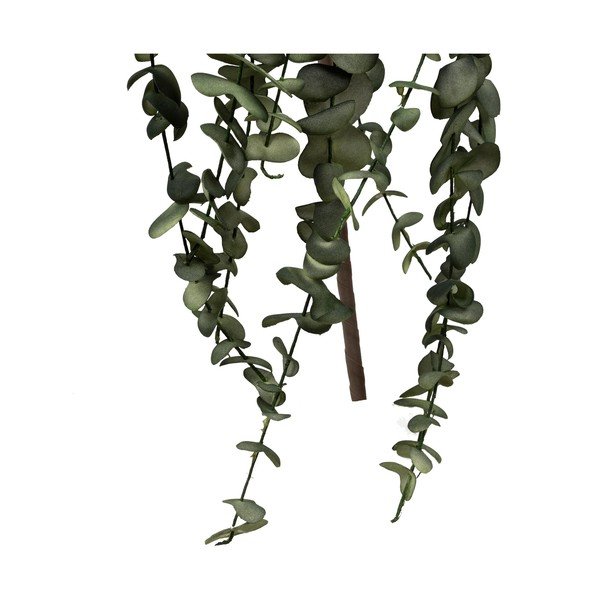 Umetno cvetje Eucalyptus - Côté Table-image-1