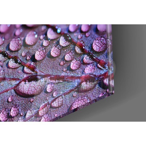 Steklena slika Insigne Rain Drops -image-2